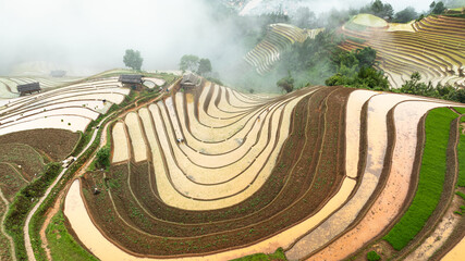 Water season flows into terraced fields and rice planting begins in Mu Cang Chai, Yen Bai. Photo...