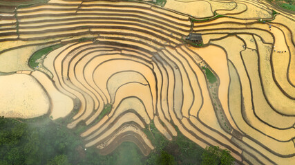 Water season flows into terraced fields and rice planting begins in Mu Cang Chai, Yen Bai. Photo...