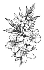 Elegant Vertical Flower Bouquet Line Drawing – Vintage Botanical Sketch
