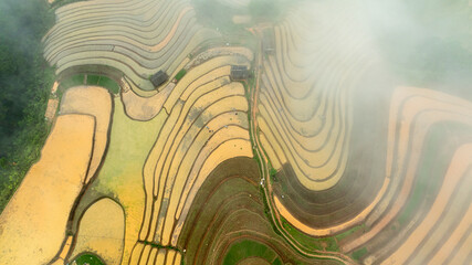 Water season flows into terraced fields and rice planting begins in Mu Cang Chai, Yen Bai. Photo...