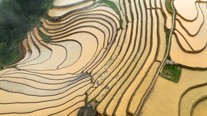 Water season flows into terraced fields and rice planting begins in Mu Cang Chai, Yen Bai. Photo...