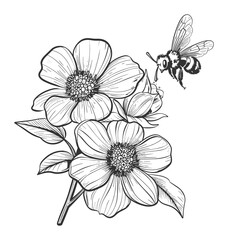Bee and Wildflowers Line Drawing – Vintage Floral Illustration
