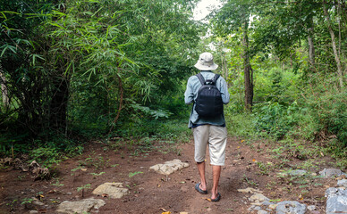 Hikers carrying backpacks walk along a road in a dense forest.
