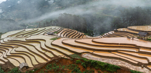 Water season flows into terraced fields and rice planting begins in Mu Cang Chai, Yen Bai. Photo taken in Yen Bai on June 22, 2025.