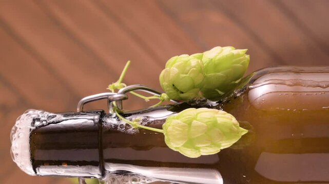 Close-up of a freshly opened beer bottle with foam spilling over the top. Rustic background, fresh hops hanging on the bottle. Concept of craft beer, freshness, brewing, and celebration. 4k vertikal
