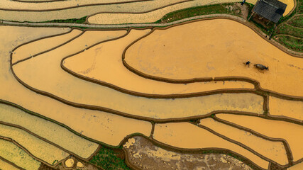 Water season flows into terraced fields and rice planting begins in Mu Cang Chai, Yen Bai. Photo...