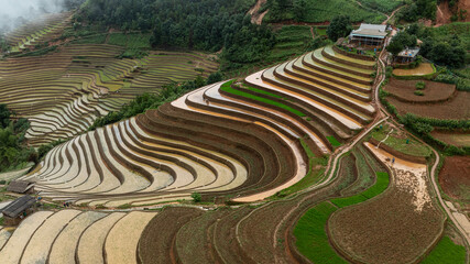 Water season flows into terraced fields and rice planting begins in Mu Cang Chai, Yen Bai. Photo taken in Yen Bai on June 22, 2025.
