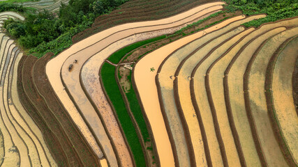Water season flows into terraced fields and rice planting begins in Mu Cang Chai, Yen Bai. Photo...