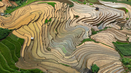 Water season flows into terraced fields and rice planting begins in Mu Cang Chai, Yen Bai. Photo...