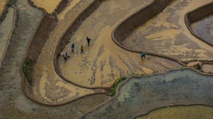 Water season flows into terraced fields and rice planting begins in Mu Cang Chai, Yen Bai. Photo taken in Yen Bai on June 22, 2025.