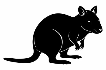 Obraz premium quokka sihouette black vector 