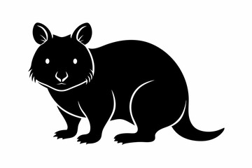 Obraz premium quokka sihouette black vector 