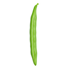 Single Vibrant Green Bean on Transparent Background