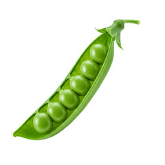 Fresh Green Pea Pod with Seven Plump Peas on Transparent Background
