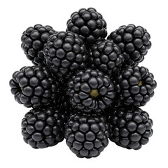 Ten Ripe Blackberries in Circular Arrangement on Transparent