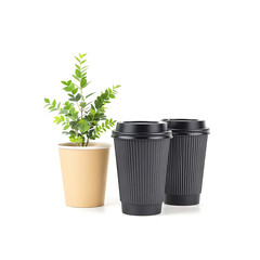 Plant in beige cup with two black coffee cups