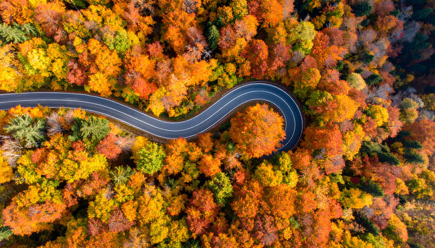 Winding road through vibrant autumn trees viewed from above.