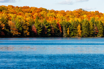 The colorful fall shoreline of Hemlock Lake, near Woodruff, Wisconsin in mid-October