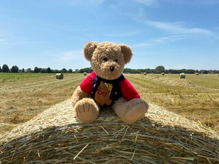 Plush teddy bear and straw bale.