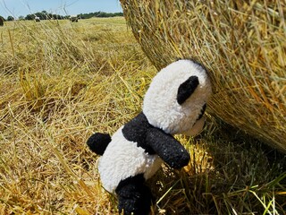 Plush teddy bear and straw bale.