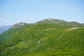 Naklejka premium Incredible view from above of the Norwegian forest