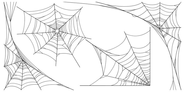 Set of spider web vector illustration