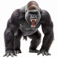 Fototapeta premium Powerful Gorilla in a Stance of Might: A compelling, realistic depiction of a formidable gorilla, its imposing form set against a stark backdrop, showcasing raw strength and untamed wilderness