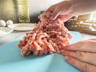 Female hand mixing mince for the dumplings or cutlets at home