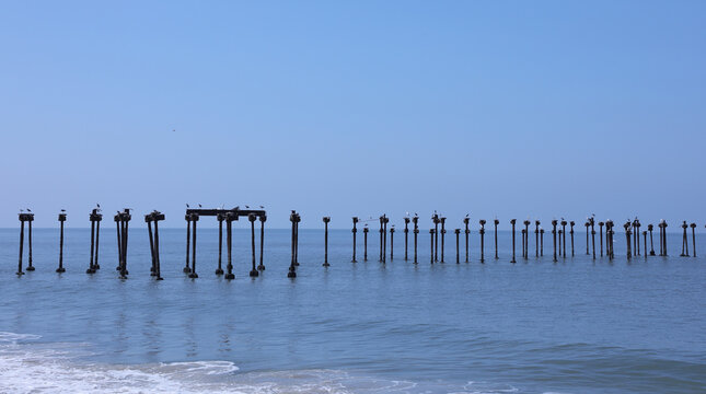 Old Pier Remains at Calicut Beach, Kerala