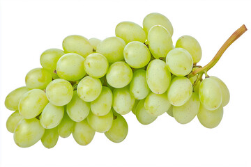 Green grapes on a stem, fresh fruit close-up isolated