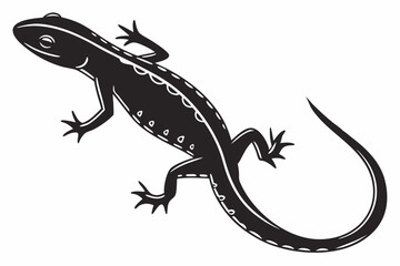 Fototapeta premium newt sihouette black vector 
