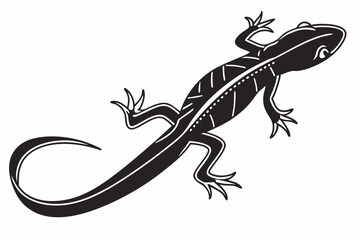 Obraz premium newt sihouette black vector 