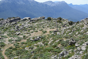 Trekking a Punta Corrasi nel Supramonte di Oliena