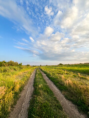 Dirt road vanishing into the horizon under cloudy sky