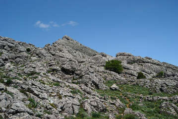 Trekking a Punta Corrasi nel Supramonte di Oliena
