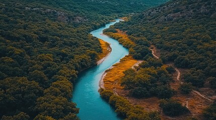 Fototapeta premium Mountain River Winding Through Lush Forest. Aerial View. Potential Use Stock Photo