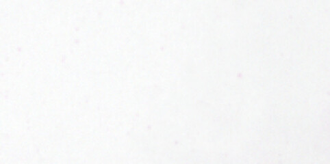 white paper texture