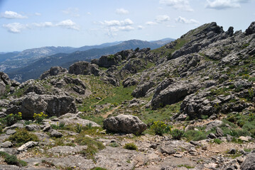 Trekking a Punta Corrasi nel Supramonte di Oliena