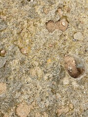 Textured stone background: A close-up photograph that captures the weathered surface of a textured stone, showcasing the natural beauty of geological formations and earthy tones.