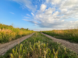 Dirt road leading into beautiful landscape with green grass and cloudy sky