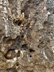 Textured Stone Close-up: A detailed study of a weathered stone surface revealing a network of intricate patterns, textures, and captivating shapes.
