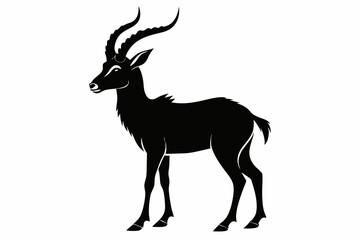 Fototapeta premium markhor sihouette black vector 