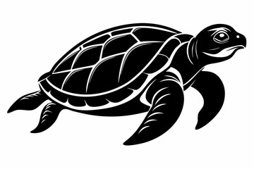 Fototapeta premium loggerhead turtle sihouette black vector 