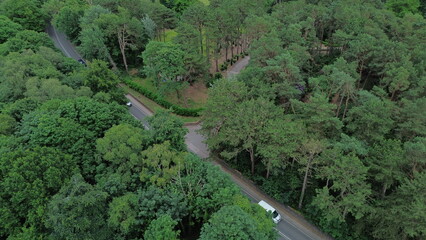 Aerial view of lush green canopy over a countryside road in low sunlight with moving vehicles.  Birkenhead, Wirral, Merseyside, UK