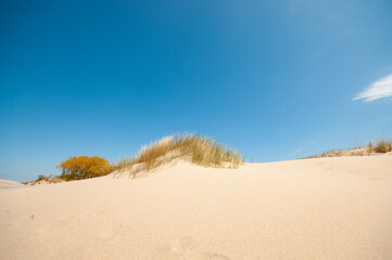 Beautiful sand dunes landscape against summer blue sky