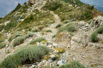 Path to the Summit: Rocky Trail of Big Chimgan's West Ridge
