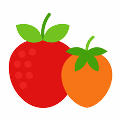 vector illustration of an orange