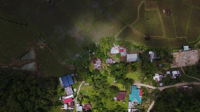 Top-Down bird's eye View of Rice Fields and Rural Settlement in Bilar, Bohol, Philippines