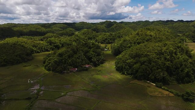 Aerial view of Rolling Chocolate Hills and Farmland Amidst Lush Green jungle hills and Rice Field in Bilar, Bohol, Philippines