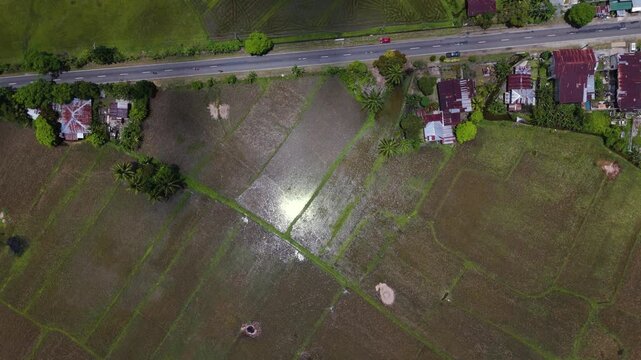 Top-Down bird's eye View of Rice Fields and Rural Settlement in Bilar, Bohol, Philippines